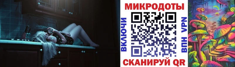 Псилоцибиновые грибы Psilocybe  Нарткала 